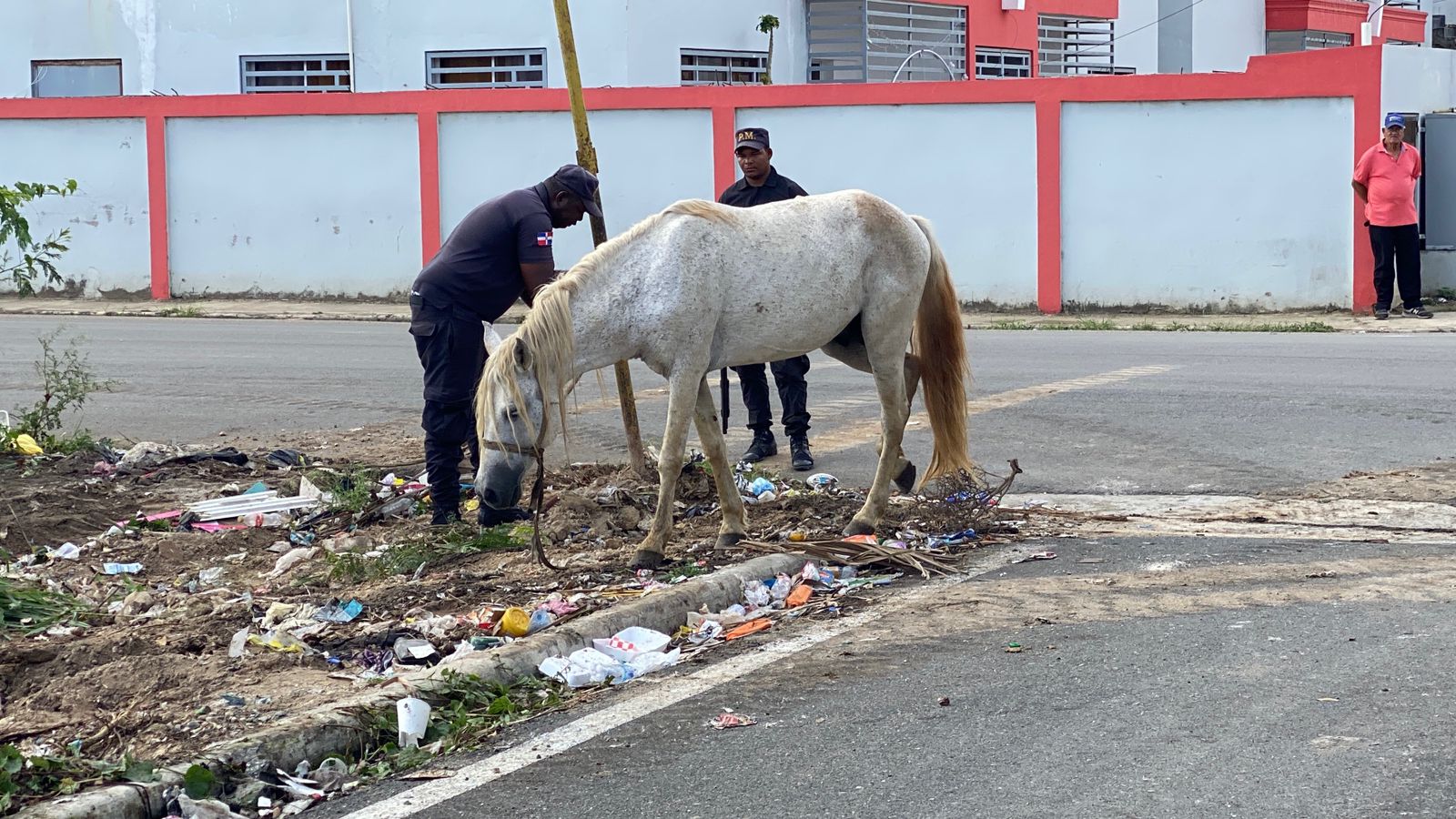 Alcaldía de SPM realiza operativo de limpieza de solares baldíos en Villa España